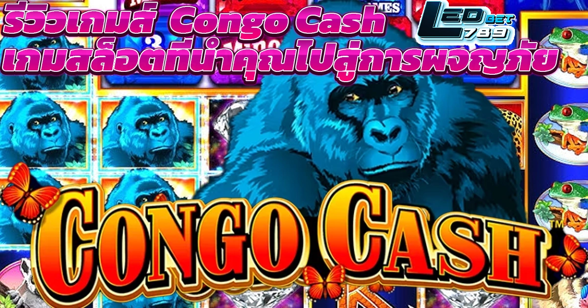 รีวิวเกมส์ Congo Cash